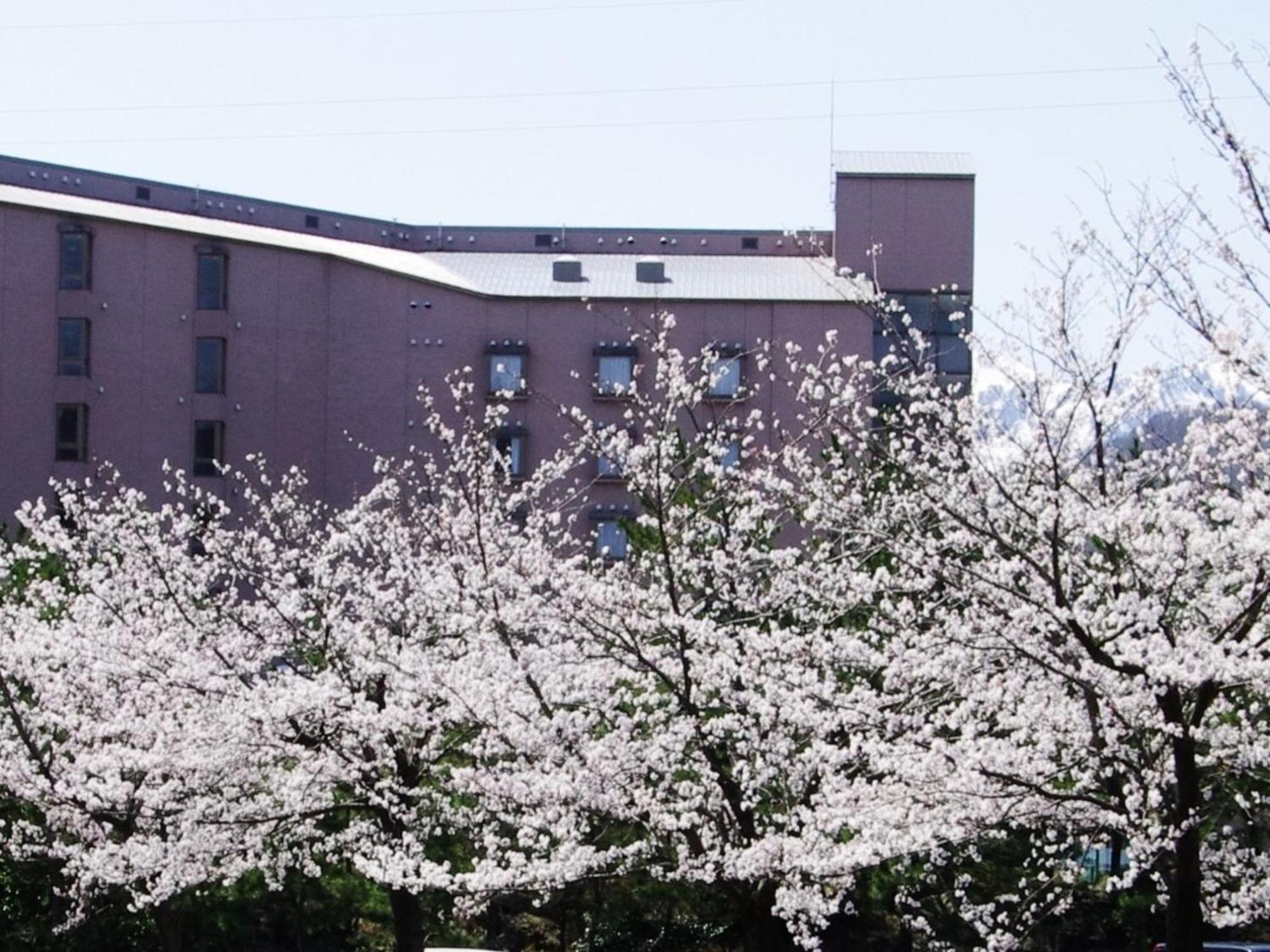 Hotel Kunitomi Annex - Vacation Stay 12072V Itoigawa Dış mekan fotoğraf